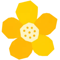 小曦的园子