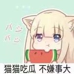 [猫猫吃瓜]