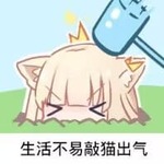 [生活不易敲猫]